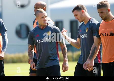 Radja Nainggolan en Belgique et Thomas Vermaelen en 03Belgium photographiés lors d'une formation de l'équipe nationale belge de football Red Devils, vendredi 02 juin 2017, au Centre belge de football de Tubize. La Belgique joue un match amical contre la République tchèque le 05 juin et un titre de coupe du monde 2018 en Estonie. BELGA PHOTO BRUNO FAHY Banque D'Images