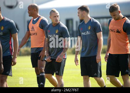 Radja Nainggolan en Belgique et Thomas Vermaelen en 03Belgium photographiés lors d'une formation de l'équipe nationale belge de football Red Devils, vendredi 02 juin 2017, au Centre belge de football de Tubize. La Belgique joue un match amical contre la République tchèque le 05 juin et un titre de coupe du monde 2018 en Estonie. BELGA PHOTO BRUNO FAHY Banque D'Images