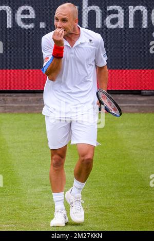 Le Belge Steve Darcis réagit lors d'un premier match entre le Belge Steve Darcis et l'Ukrainien Alexander Dolgopolov en singles hommes au tournoi de tennis Ricoh Open ATP à Rosmalen, aux pays-Bas, le mardi 13 juin 2017. BELGA PHOTO LUC CLAESSEN Banque D'Images