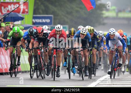 Belge Sep Vanmarcke de Cannondale Drapac Pro Cycling Team, slovaque Peter Sagan de Bora-Hansgrohe, slovène Marko Kump des Émirats Arabes Unis Abu Dhabi, belge Edward Thesuns de Trek-Segafredo, Dutch Dylan Groenewegen de Team LottoNL-Jumbo et Belge Tim Merlier de Veranda's Willems - Crelan sprint pour la fin de la quatrième étape de la tournée de BinckBank à travers la Belgique et les pays-Bas, à 154,2 km de et à Lanaken, Belgique, jeudi 10 août 2017. BELGA PHOTO DAVID STOCKMAN Banque D'Images