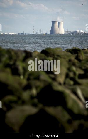 L'illustration montre la centrale nucléaire de Doel en Belgique, près de la scène où un navire à conteneurs s'est retrouvé dans l'Escaut occidental (Westerschelde) à Bath, aux pays-Bas, le lundi 14 août 2017. Un CSCL Jupiter de Hong Kong s'est bloqué, bloquant toute la circulation sur la voie navigable. BELGA PHOTO KRISTOF VAN ACCOM Banque D'Images