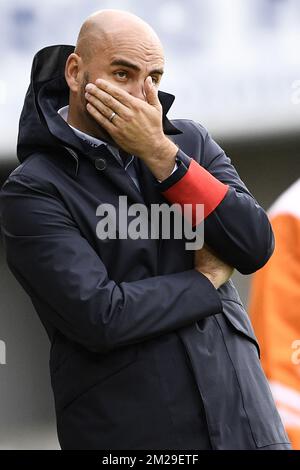 Vedran Pelic, entraîneur en chef de Westerlo, photographié lors du match de la Proximus League de D1B entre Lierse SK et KVC Westerlo, à Lier, samedi 09 septembre 2017, le cinquième jour du championnat belge de football, division 1B. BELGA PHOTO YORICK JANSENS Banque D'Images