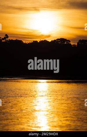 Lever du soleil dans la Tambopata Banque D'Images