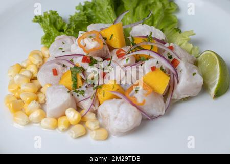 Gros plan sur le ceviche, plat typique à base de poisson de la cuisine péruvienne sur fond blanc. Banque D'Images