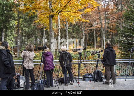 Photographes de nature attendant à l'enclos des loups pour photographier les loups dans le Parc National de la Forêt bavaroise / Parc National Bayerischer Wald, Allemagne | Photographes animaliers au Parc National de la forêt Bavaroise, Allemagne 18/10/2017 Banque D'Images