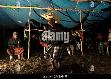 Un aîné portant une tenue traditionnelle danse, dans un contexte d'hommes jouant des instruments percussifs lors d'un rassemblement communautaire avant la préparation d'une cérémonie de libération de tortues à cou serpent, une espèce de tortue d'eau douce endémique locale, sur le côté d'un lac dans le village de Maubesi, Rote Centrale, Rote Ndao, Nusa Tenggara est, Indonésie. La conservation communautaire est promue comme stratégie d'amélioration de la gestion des ressources par l'engagement communautaire, tandis que les approches traditionnelles de gestion reposent sur les lois et pratiques coutumières pour réglementer l'utilisation des ressources naturelles. Banque D'Images