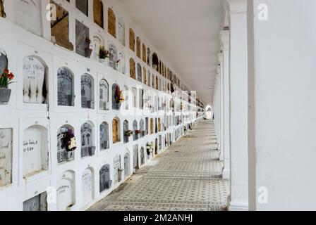 Anciens columbariums du cimetière central situé dans la ville de downton bogota. Ce cimetière a été construit en 1836 et est un monument national Banque D'Images