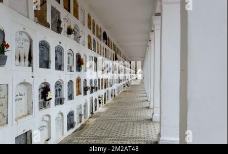 Anciens columbariums du cimetière central situé dans la ville de downton bogota. Ce cimetière a été construit en 1836 et est un monument national de Colombie Banque D'Images