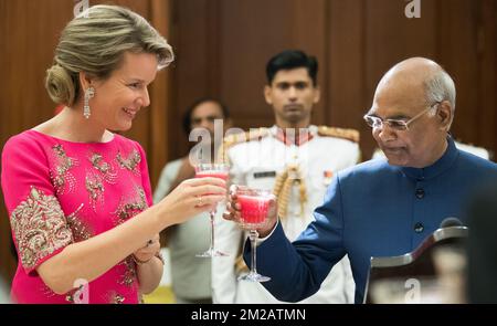 La reine Mathilde Belgique a été photographiée lors d'un toast avec le président indien RAM Nath Kovind avant un banquet d'État au Palais présidentiel le deuxième jour de la visite d'État du couple royal belge en Inde, le mardi 07 novembre 2017, à New Delhi, en Inde. BELGA PHOTO BENOIT DOPPAGNE Banque D'Images