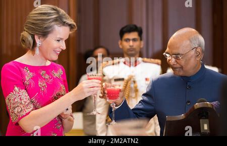 La reine Mathilde Belgique a été photographiée lors d'un toast avec le président indien RAM Nath Kovind avant un banquet d'État au Palais présidentiel le deuxième jour de la visite d'État du couple royal belge en Inde, le mardi 07 novembre 2017, à New Delhi, en Inde. BELGA PHOTO BENOIT DOPPAGNE Banque D'Images