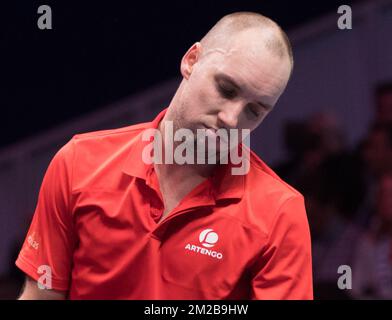 Le Belge Steve Darcis réagit lors d'un match de tennis entre le Belge Steve Darcis et le Français Lucas Pouille, cinquième et dernier match de la finale du Groupe mondial de la coupe Davis entre la France et la Belgique, dimanche 26 novembre 2017, à Villeneuve-d'Ascq. La France remporte la finale du Groupe mondial de la coupe Davis. BELGA PHOTO BENOIT DOPPAGNE Banque D'Images