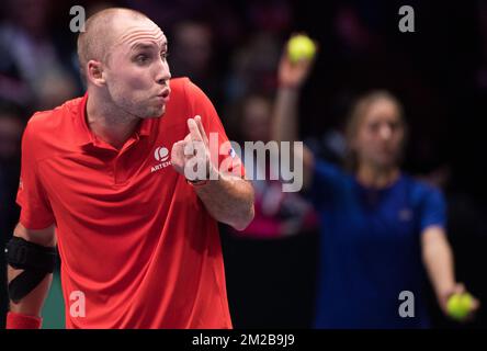 Le Belge Steve Darcis réagit lors d'un match de tennis entre le Belge Steve Darcis et le Français Lucas Pouille, cinquième et dernier match de la finale du Groupe mondial de la coupe Davis entre la France et la Belgique, dimanche 26 novembre 2017, à Villeneuve-d'Ascq. La France remporte la finale du Groupe mondial de la coupe Davis. BELGA PHOTO BENOIT DOPPAGNE Banque D'Images