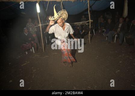 Un aîné portant une tenue traditionnelle danse, dans un contexte d'hommes jouant des instruments percussifs lors d'un rassemblement communautaire avant la préparation d'une cérémonie de libération de tortues à cou serpent, une espèce de tortue d'eau douce endémique locale, sur le côté d'un lac dans le village de Maubesi, Rote Centrale, Rote Ndao, Nusa Tenggara est, Indonésie. La conservation communautaire est promue comme stratégie d'amélioration de la gestion des ressources par l'engagement communautaire, tandis que les approches traditionnelles de gestion reposent sur les lois et pratiques coutumières pour réglementer l'utilisation des ressources naturelles. Banque D'Images