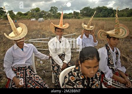 Les élèves portant la tenue traditionnelle de l'île de Rote sont photographiés lors d'un événement cérémonial pour libérer les tortues endémiques à col serpent (Chelodina mccordi) dans son habitat convenable à l'île de Rote, à l'est de Nusa Tenggara, en Indonésie. La conservation communautaire est promue comme stratégie d'amélioration de la gestion des ressources par l'engagement communautaire, tandis que les approches traditionnelles de gestion reposent sur les lois et pratiques coutumières pour réglementer l'utilisation des ressources naturelles. Banque D'Images