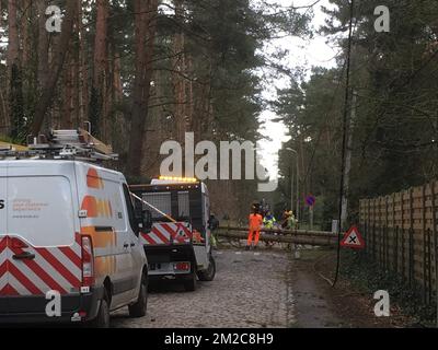 L'illustration montre la scène à Rijmenam, Bonheiden, où un arbre déraciné a causé une coupure de courant, jeudi 18 janvier 2018. BELGA PHOTO MAARTEN PETERS Banque D'Images