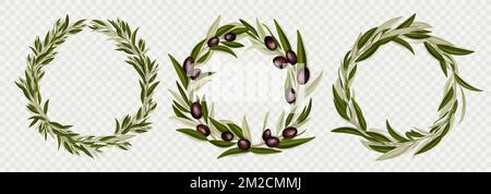 Cadres ronds de branches d'olive réalistes avec baies noires et feuilles vertes isolées sur fond transparent. Bordures circulaires vides, éléments de conception de couronnes de plantes méditerranéennes, ensemble de 3D vecteurs Illustration de Vecteur
