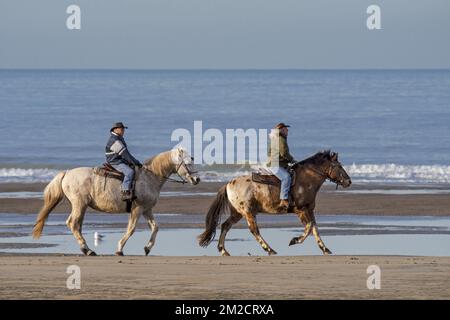 Couple de personnes âgées à cheval sur une plage de sable le long de la côte de la mer du Nord par temps froid en hiver | couple de cavaliers agés se promènent à cheval sur la plage de la côte belge en hiver 30/01/2018 Banque D'Images