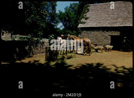 Cotswold Barn, Greenfield Village, Dearborn, Michigan, Barns. Collection Edmund L. Mitchell Banque D'Images