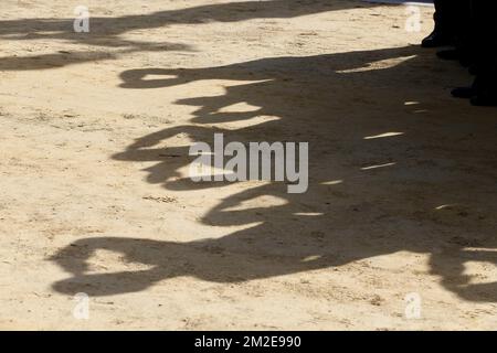 L'illustration montre des ombres d'anciens combattants saluant lors d'une cérémonie pour commémorer les soldats qui ont perdu la vie au service de la Défense belge dans les opérations de paix, au monument Tombeau du Soldat inconnu à Bruxelles, samedi 07 avril 2018. BELGA PHOTO LAURIE DIEFFEMBACQ Banque D'Images