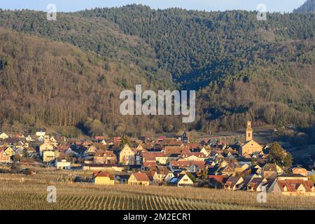 Riquewihr est une ville médiévale classée. Il est situé dans les vignobles les plus connus d'Alsace | Riquewihr est une cité medievale classee célébration nichee au sein des vignobles alsaciens 01/04/2018 Banque D'Images