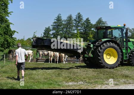 Tonte | fauchage 08/05/2016 Banque D'Images