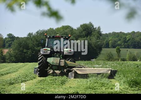 Tonte | fauchage 08/05/2016 Banque D'Images