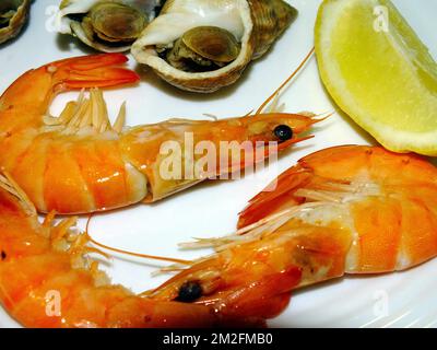 Assiette de fruits de mer | plateau de fruits de mer 29/05/2018 Banque D'Images