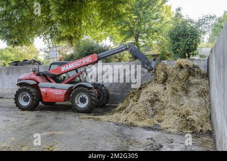 Cheminée de fumier - Dunghill | Purin - Fumier en tas 17/06/2018 Banque D'Images