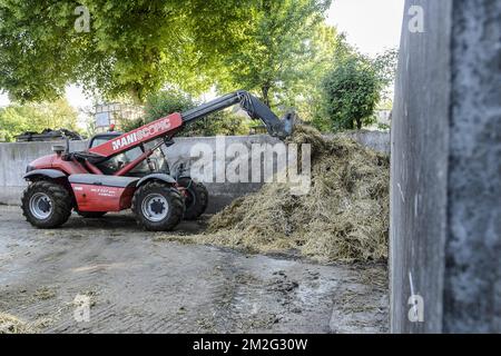 Cheminée de fumier - Dunghill | Purin - Fumier en tas 17/06/2018 Banque D'Images