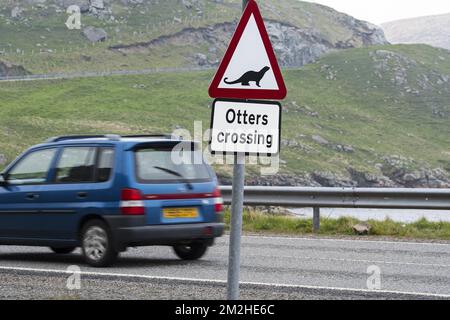 Panneau d'avertissement de loutre eurasien / loutre européen (Lutra lutra) pour loutre traversant la rue côtière en Écosse, Royaume-Uni | panneau de signalisation pour la conducteur d'Europe / la conducteur européenne (Lutra lutra) 09/06/2018 Banque D'Images