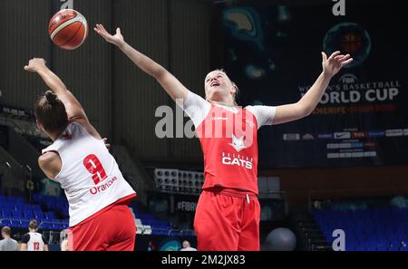Cats belges Marjorie Carpreaux et Cats belges Julie Vanloo lutte pour le bal lors d'une session de formation de l'équipe nationale belge Cats belges, lundi 24 septembre 2018 à Tenerife, Espagne, tandis que Cats sont dans la phase de groupe de la Champioship du monde des femmes, dans le Groupe C. BELGA PHOTO VIRGINIE LEFOUR Banque D'Images