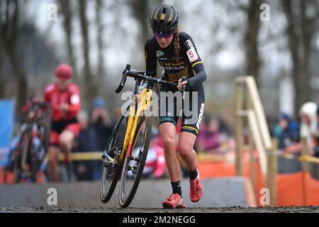 Dutch Fleur Nagengast photographié en action lors de la course d'élite féminine du Gullegem Cyclocross, samedi 05 janvier 2019 à Gullegem, Belgique. BELGA PHOTO DAVID STOCKMAN Banque D'Images