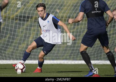 Leandro Trossard de Genk photographié pendant la première journée du camp d'entraînement d'hiver de l'équipe belge de football de première division KRC Racing Genk, à Benidorm, Espagne, dimanche 06 janvier 2019. BELGA PHOTO YORICK JANSENS Banque D'Images