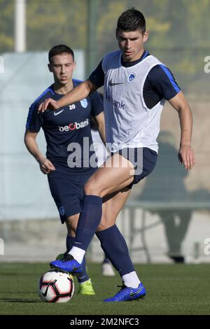 Ruslan Malinovski de Genk photographié pendant la première journée du camp d'entraînement d'hiver de l'équipe belge de football de première division KRC Racing Genk, à Benidorm, Espagne, dimanche 06 janvier 2019. BELGA PHOTO YORICK JANSENS Banque D'Images