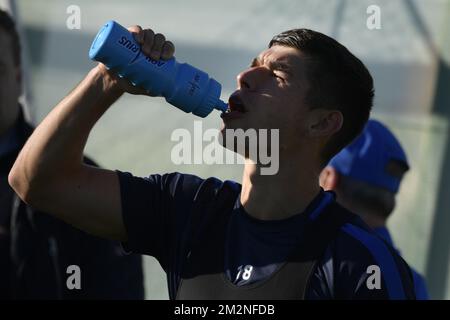 Ruslan Malinovski de Genk photographié pendant la première journée du camp d'entraînement d'hiver de l'équipe belge de football de première division KRC Racing Genk, à Benidorm, Espagne, dimanche 06 janvier 2019. BELGA PHOTO YORICK JANSENS Banque D'Images