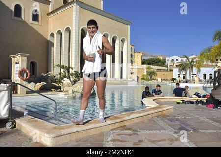 Ruslan Malinovski de Genk photographié pendant la première journée du camp d'entraînement d'hiver de l'équipe belge de football de première division KRC Racing Genk, à Benidorm, Espagne, dimanche 06 janvier 2019. BELGA PHOTO YORICK JANSENS Banque D'Images