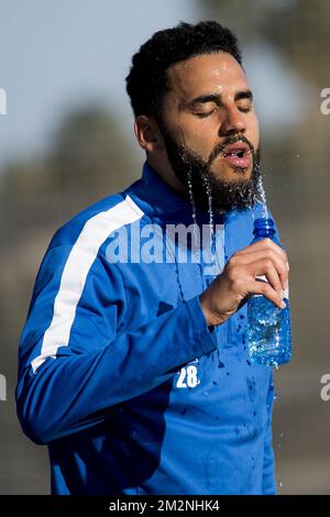 Dylan Bronn de Gent photographié pendant la quatrième journée du camp d'entraînement d'hiver de l'équipe belge de football de première division KAA Gent, à Oliva, Espagne, le mardi 08 janvier 2019. BELGA PHOTO JASPER JACOBS Banque D'Images