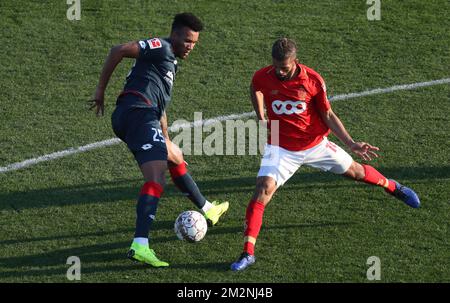 Jean-Philippe Gbamin de Mayence et Mehdi Carcela de Standard combattent pour le ballon lors d'un match de football amical entre l'équipe belge de première division Standard de Liège et le club allemand 1. FSV Mainz 05, le cinquième jour de la formation d'hiver de Standard à Marbella, Espagne, le mardi 08 janvier 2019. BELGA PHOTO VIRGINIE LEFOUR Banque D'Images