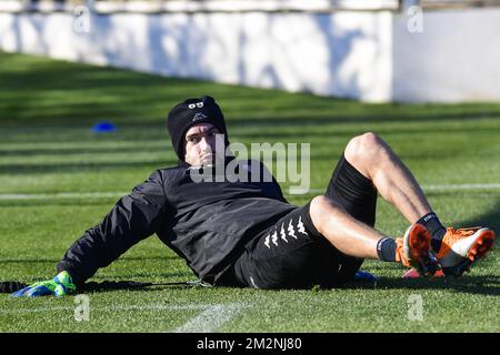 Charleroi gardien de but français Remy Riou photographié pendant l'entraînement du matin le quatrième jour du camp d'entraînement d'hiver de l'équipe belge de football de première division Sporting Charleroi, à Valence, Espagne, le mardi 08 janvier 2019. BELGA PHOTO LAURIE DIEFFEMBACQ Banque D'Images