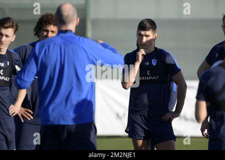 Ruslan Malinovski de Genk photographié pendant la quatrième journée d'entraînement au camp d'entraînement d'hiver de l'équipe belge de football de première division KRC Racing Genk, à Benidorm, Espagne, le mercredi 09 janvier 2019. BELGA PHOTO YORICK JANSENS Banque D'Images