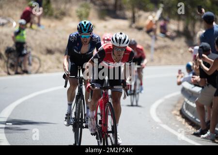 Australian Richie porte of Trek-Segafredo photographié en action lors de la dernière étape de la course cycliste « Tour Down Under », 151,5 km de McLaren Vale à Willunga Hill, Australie, dimanche 20 janvier 2019. Cette édition de la course se déroule de 15 janvier à 20 janvier. BELGA PHOTO YUZURU SUNADA FRANCE OUT Banque D'Images