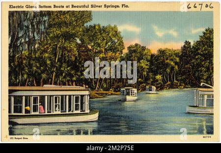 Bateaux électriques à fond de verre à Silver Springs, Floride , Bateaux, Tichnor Brothers Collection, cartes postales des États-Unis Banque D'Images