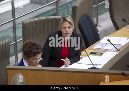 Ministre flamand de l'Environnement, de l'aménagement du territoire et de l'Agriculture Joke Schauvliege photographié lors d'une session plénière du Parlement flamand à Bruxelles, le mercredi 30 janvier 2019. BELGA PHOTO HATIM KAGHAT Banque D'Images