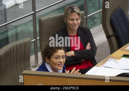 Lydia Peeters, ministre flamand des Finances, du Budget et de l'Energie, et Lydia Peeters, ministre flamand de l'Environnement, de l'aménagement du territoire et de l'Agriculture, Joke Schauvliege photographié lors d'une session plénière du Parlement flamand à Bruxelles, le mercredi 30 janvier 2019. BELGA PHOTO HATIM KAGHAT Banque D'Images