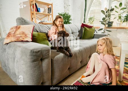 Deux jolies petites filles, enfants jouant, s'occuper de chien de race, brunir le labrador à la maison. Sœurs et chiot mignon Banque D'Images