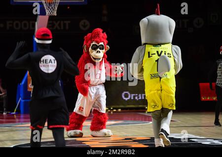 L'illustration montre les mascottes au match de basket-ball entre BC Oostende et Anvers Giants, la finale de la coupe belge, dimanche 10 mars 2019 à Bruxelles. BELGA PHOTO LAURIE DIEFFEMBACQ Banque D'Images