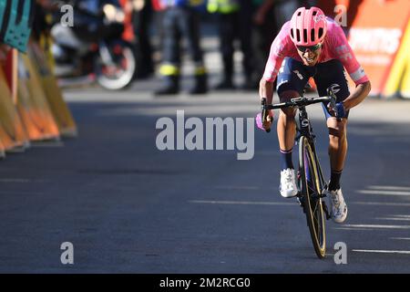 Colombien Daniel Felipe Martinez de EF Education First Pro Cycling fête alors qu'il franchit la ligne d'arrivée pour gagner la septième étape de l'édition 77th de la course cycliste Paris-Nice, 181,5km de Nice au Col de Turini, France, samedi 16 mars 2019. La course commence le 10th et se termine le 17th mars. BELGA PHOTO DAVID STOCKMAN Banque D'Images