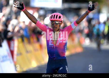 Colombien Daniel Felipe Martinez de EF Education First Pro Cycling fête alors qu'il franchit la ligne d'arrivée pour gagner la septième étape de l'édition 77th de la course cycliste Paris-Nice, 181,5km de Nice au Col de Turini, France, samedi 16 mars 2019. La course commence le 10th et se termine le 17th mars. BELGA PHOTO DAVID STOCKMAN Banque D'Images