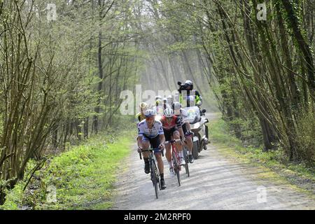 Italien Matteo Trentin de Mitchelton - Scott photographié en action pendant la course cycliste Gent-Wevelgem - en Flandre, à 251,5 km de Deinze, près de Gent, à Wevelgem, dimanche 31 mars 2019. BELGA PHOTO POOL NICO VEREECKEN Banque D'Images
