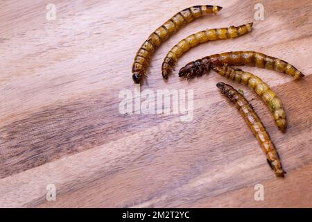 Vers de bois frits et vers de viande sur une planche à découper en bois. Insectes frits comme source de protéines dans le régime. Banque D'Images